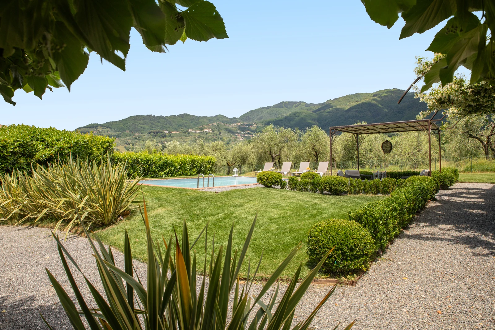 Giardino, piscina e panorama sulle colline